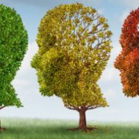 home care company syracuse ny