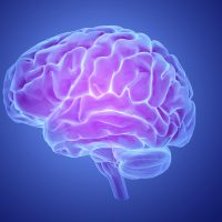 Brain Injury