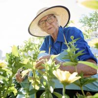 senior-lady-in-hat-gardening